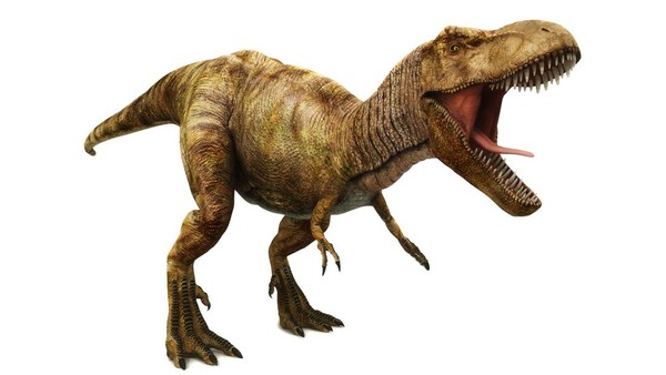 Sistem Informasi Manajemen Rumah Sakit